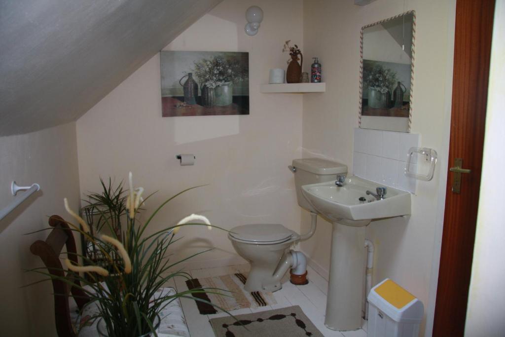 The Old School House B&B Ballinskelligs Oda fotoğraf